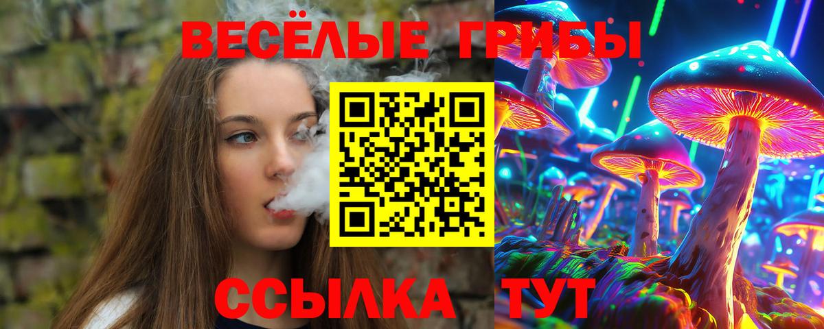 Галлюциногенные грибы мухоморы Тара