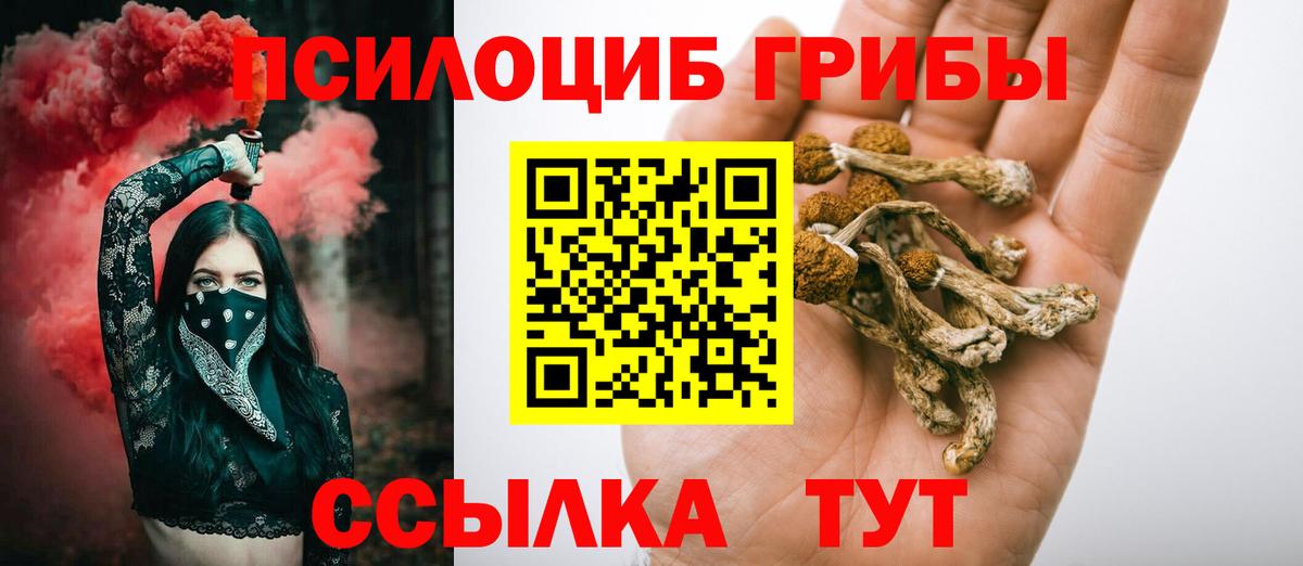 Галлюциногенные грибы Cubensis  Вход с VPN  Тара 